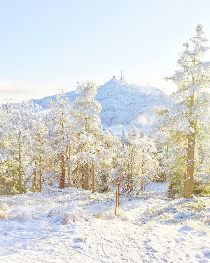 Villa Saarua By The Slopes Ski In, Family & Bike Park, Hike Trails, National Park, Wifi - Lapland Villas Рука Экстерьер фото